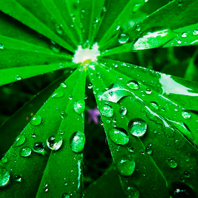 安卓ddos攻击工具