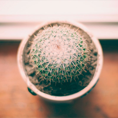 自动化报表的攻击网站服务器